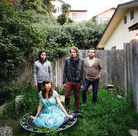 Nikki Monninger From Silversun Pickups Expecting Twin Girls