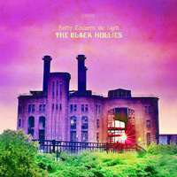 The Black Hollies Stream New Single, Kick Off North American Tour