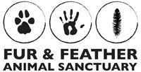 Rock Stars, Actors Donate In Support Of Humanity Thru Music In Benefit Of Fur & Feather Animal Sanctuary