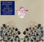 Devendra Banhart - Smokey Rolls Down Thunder Canyon